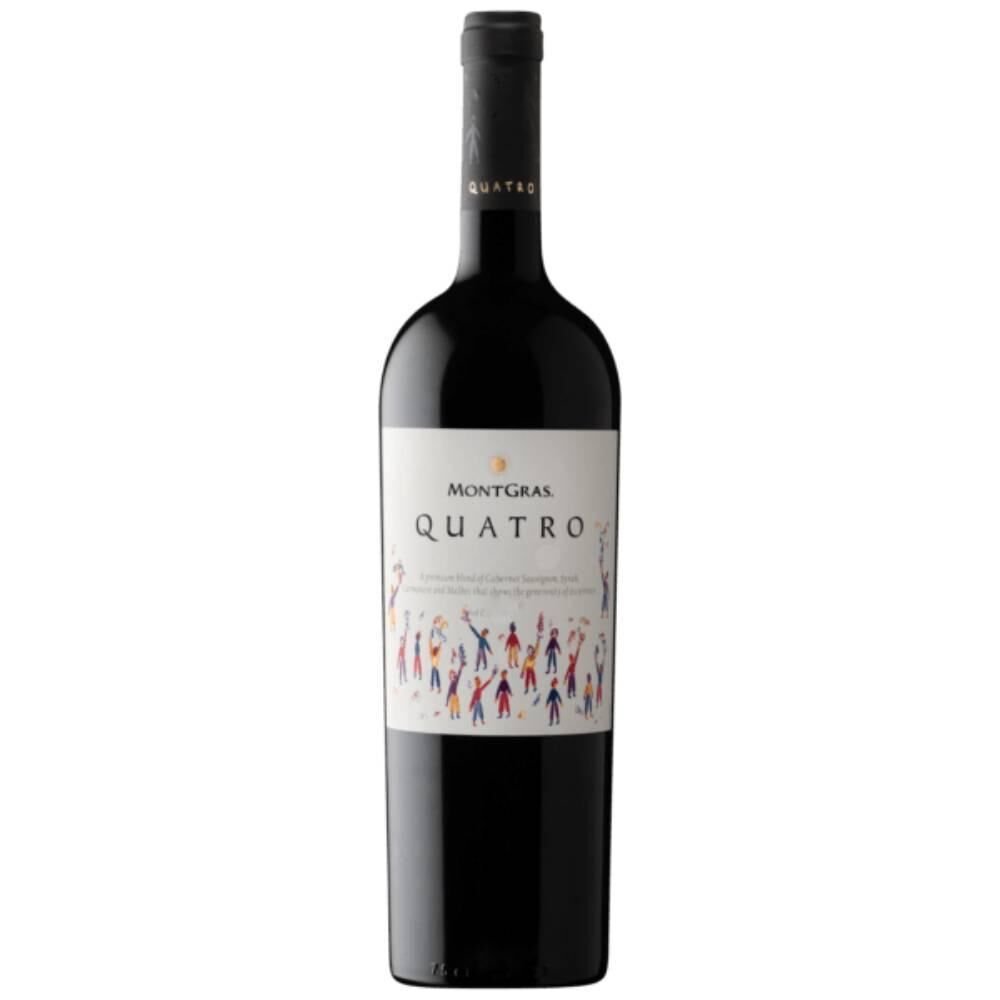 Vinho Tinto Chileno Montgras Quatro